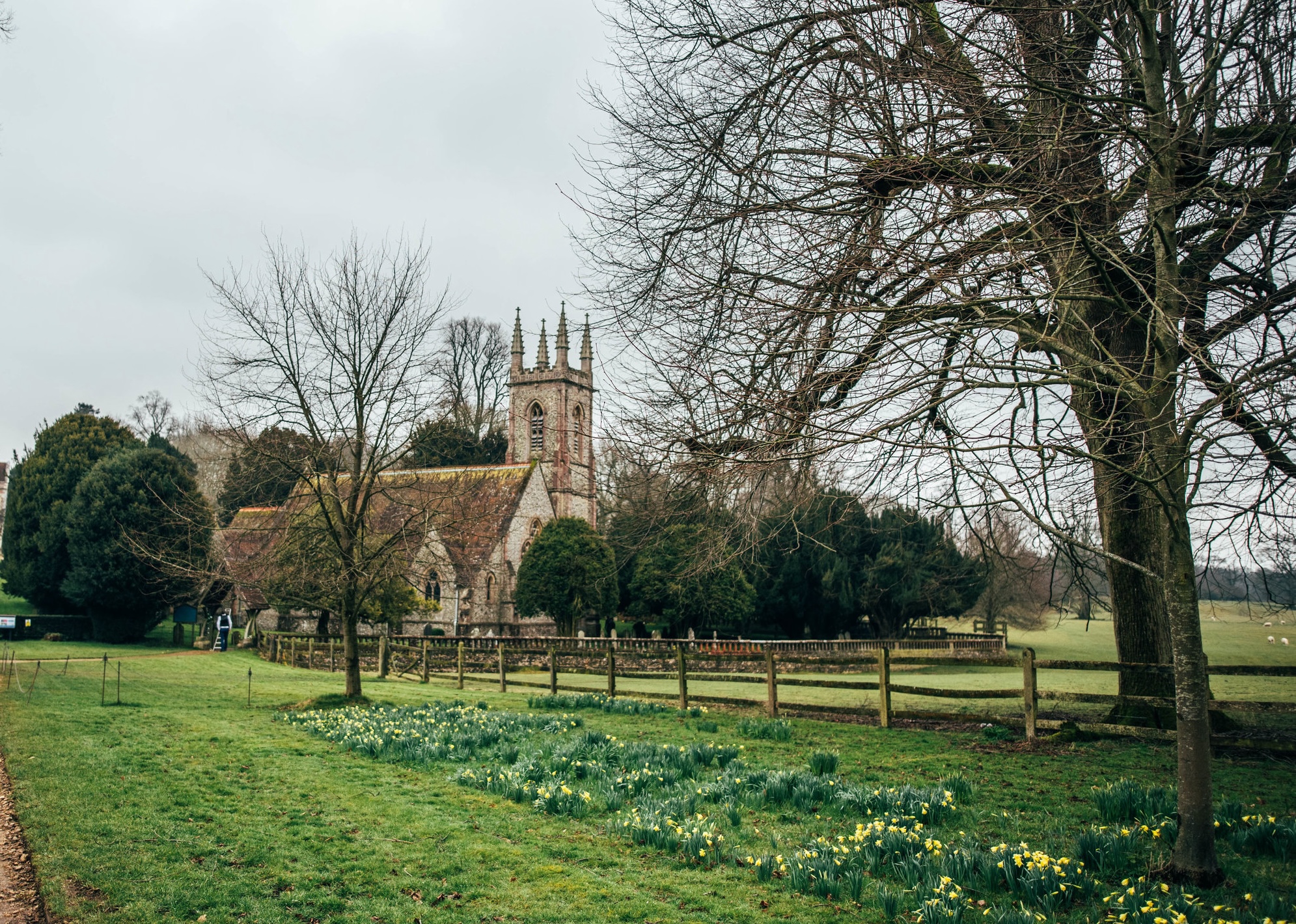 Church set in a field surrounded by daffodils. 