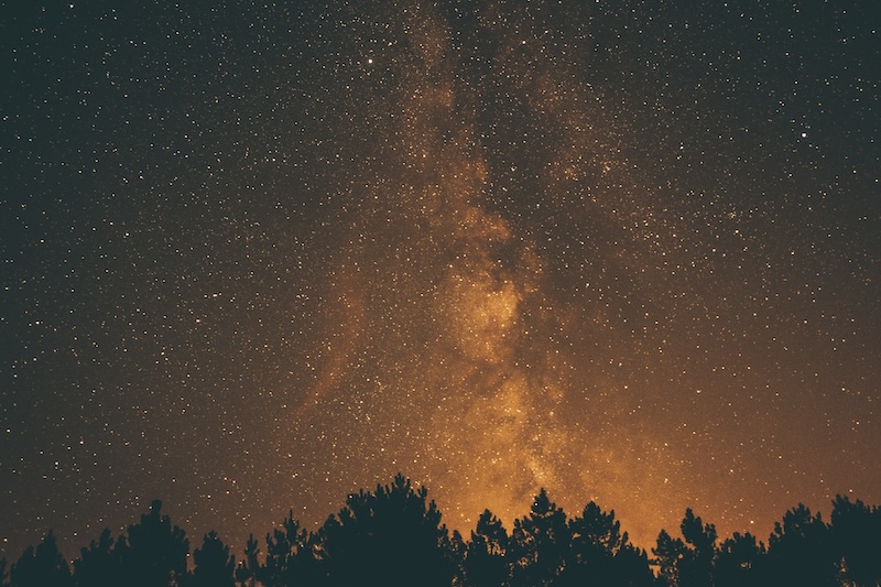 Constellation of stars shot over silhouette of trees. 