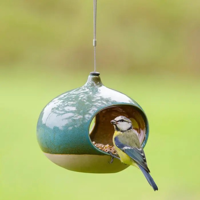 Blue tit eating out of a ceramic bird feeder. 