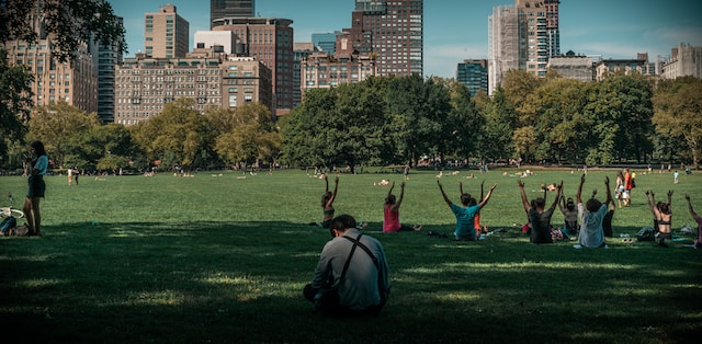 Group of people doing yoga in the park. 