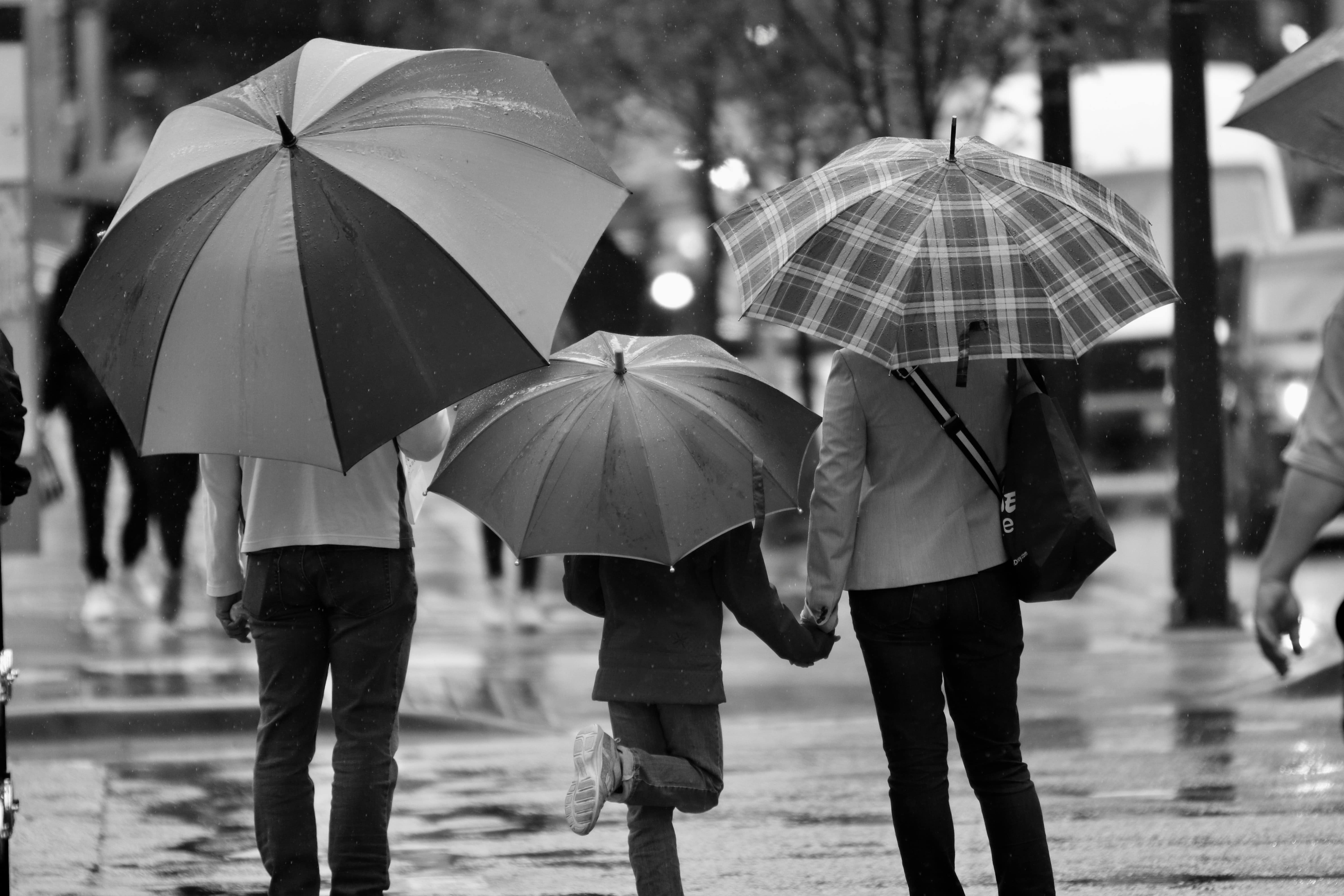 Black and white image. Depicts the back of parents standing either side of a child with umbrellas. 